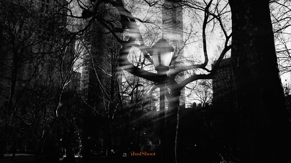 13-1228 Madison Square Monochrome